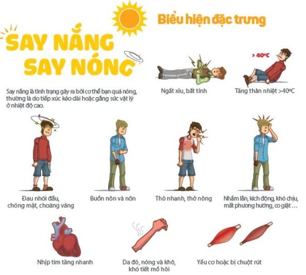 Biểu hiện của việc bị say nắng