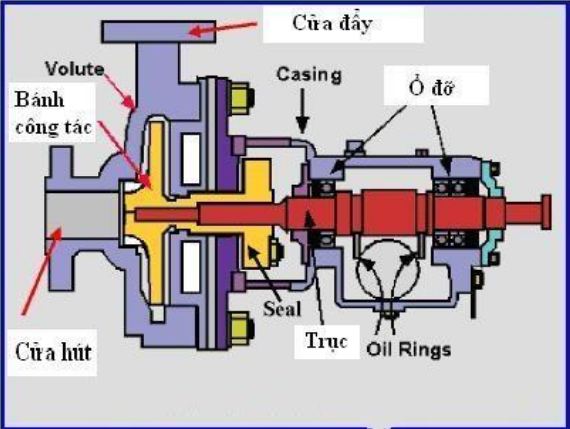Sơ đồ cấu tạo chung của máy bơm chữa cháy