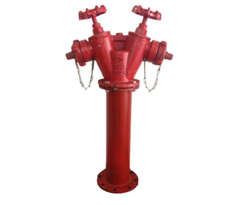 Trụ chữa cháy 2 cửa D65 chính hãng